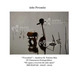 2do Premio “Varadxs” – Qué hago acá – Andrea B. Talone Río